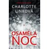Osamělá noc (Charlotte Link)