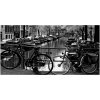 Foto obraz akrylový Kolesá Amsterdam 100x50 cm