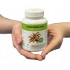MycoMedica Cordyceps CS-4 90 kapsúl