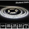LEDprodukt LED pásik 120LED/m vodeodolný SMD2835 9,6W/m studená biela IP65 12V