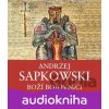 Boží bojovníci - Andrzej Sapkowski
