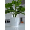 Kvetináč plast biely Kerd 13,5 cm x 14,5 x 13,5 cm