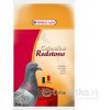 Versele-Laga Colombine Natur Bloc 850 g