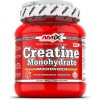 Creatine Monohydrate - Amix Gramáž: 500 g, Príchuť: bez príchute