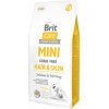 Brit Care Mini GF Hair/Skin 7 kg