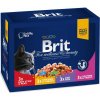 Brit Premium Cat Pouches masovo a RYBIE MIX 1200 g
