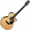 Takamine GF30CE
