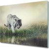 Sklenená doska na krájanie Biely tiger 60x52 cm