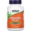 Now Foods Boswellia Extract 500 mg 90 kapsúl