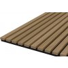 Meo Acoustic Ruby