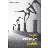 Hejno strážných andělů - Jindřich Valenta
