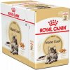 Royal Canin Maine Coon 12× 85 g