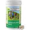 Dr. Ehrenberger Aminokyseliny basic 180 kapsúl