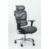 Spinergo Manager - ergonomická stolička Farba: Šedá, Typ sedáku: Sieťový