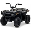 Beneo Arctic Cat, elektrická štvorkolka so zadným pohonom, 12V, 2x25W, čierna ARTIC_CAT_QUAD_BLACK_Li