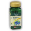 VitaHarmony Čučoriedky s vitamínom C Chewable 120 tabliet