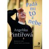 Pintířová Angelika - Padá mi to z nebe - Jan, Kutil Tomáš Paulas