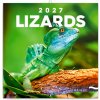 NOTIQUE Grid kalendár Lizards 2027, 30 x 30 cm