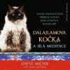 Dalajlamova kočka a síla meditace