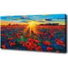 Foto obraz na plátne Pole makov 100x50 cm