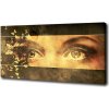 Foto obraz na plátne Oči a motýle 100x50 cm