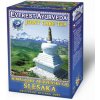Everest Ayurveda SLESAKA Kĺby a reumatizmus čaj 100 g