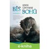 E-kniha Běs bohů - John Gwynne
