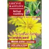 Herba Liečivé rastliny 3/2016