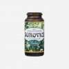 Saloos Esenciálny olej Borovica 10 ml