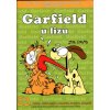 Garfield u lizu (Jim Davis)