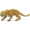 Safari Ltd. Safari Ltd. Figúrka - Leopard