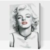Vymalujsisam.sk Maľovanie podľa čísiel - Marilyn Monroe červené pery Veľkosť: 40x60cm, Rám: Na plastovej doske