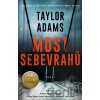 Most sebevrahů - Taylor Adams