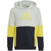 Adidas Colourblock Hoodie Jr HN8567 140CM