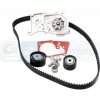 OEM RENAULT - SADA ROZVODU RENAULT MEGANE II 1,616V 02- (KOMPLET S ČERPADLOM VODY) 130C13191R + 210100753R 119A04687R 11 9A 046 87R