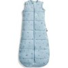 ERGOPOUCH Vak na spanie organická bavlna Jersey Dragonflies 8-24 m, 8-14 kg, 2,5 tog