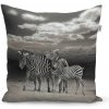 Sablio Vankúš Zebry - 40x40 cm