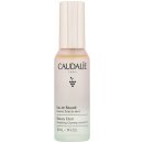 Caudalie Eau De Beauté skrášľujúci elixír pre žiarivý vzhľad pleti Beauty Elixir 30 ml