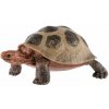 Korytnačka obrovská zooted 8cm