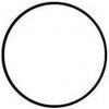 Aquanova NPF-10 O-Ring