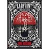 Labyrint u Mrtvého ženicha - Jana Rečková