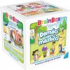 BrainBox Domácí mazlíčci