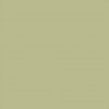 GGS Superior papírové pozadí 2,72 m x 11 m - Tropical Green (13) 585113