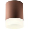 Redo 90361 XILO exteriérové ​​stropné svietidlo COB LED 15W | 1410lm | 4000K | IP54 - hnedá