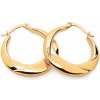 iZlato Forever Zlaté náušnice ploché ozdobné krúžky 2,5 cm, 14K IZ23750