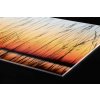 DIMEX | Plexisklo za kuchynskú linku PGT-10060-129 | 100 x 60 cm Rákos + Plexisklo za kuchynskú linku DIMEX v rozmere 100 x 60 cm, Rákos + Lepidlo zadarmo