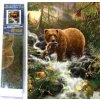 Norimpex Diamantové maľovanie Medveď na love 30 x 40 cm
