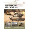 Tanks in the Gulf War 1991 (Felipe Rodríguez)(Brožovaná)