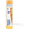 Berberis Vulgaris gra.1 x 4 g 15CH