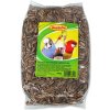 Avicentra Slnečnica pásikavá velkozrnná 0,5 kg